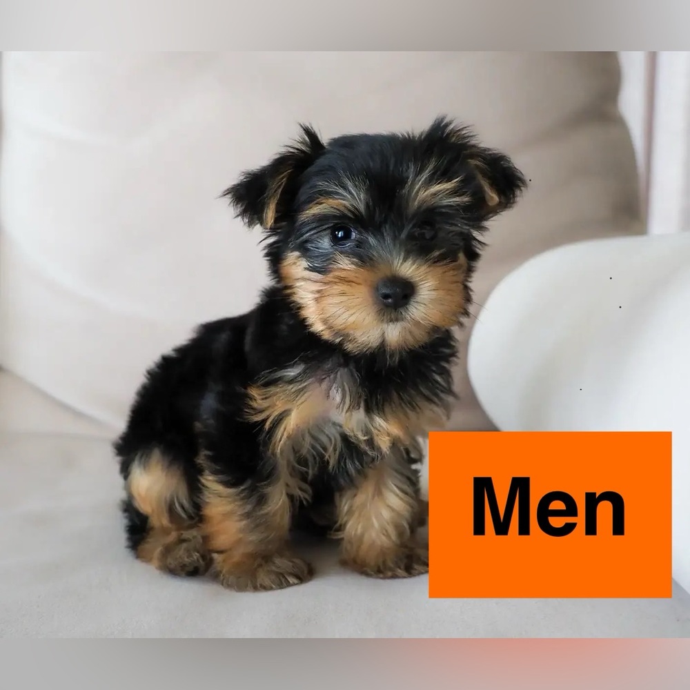 Men